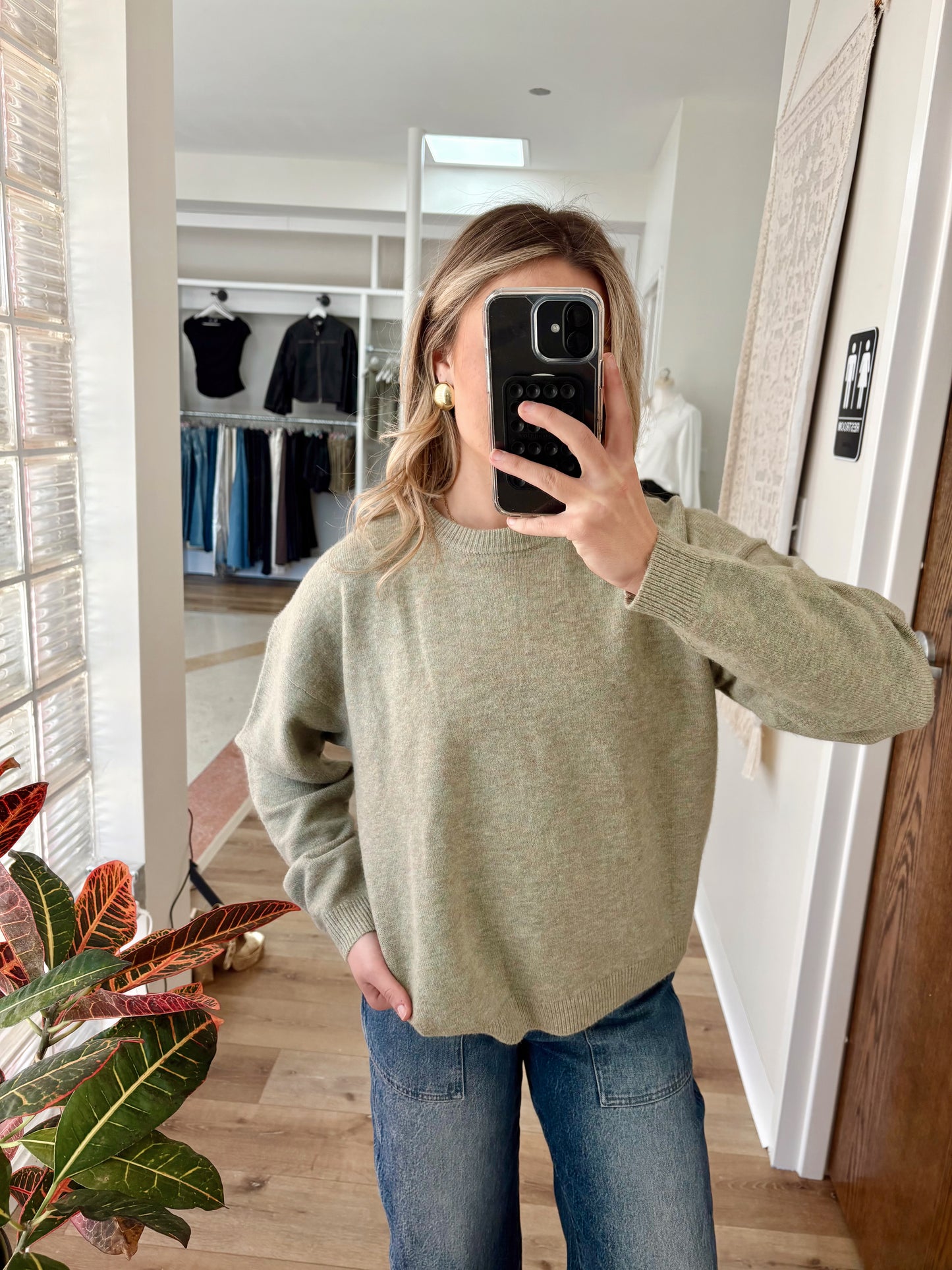 Shane Sweater- Spring Sage