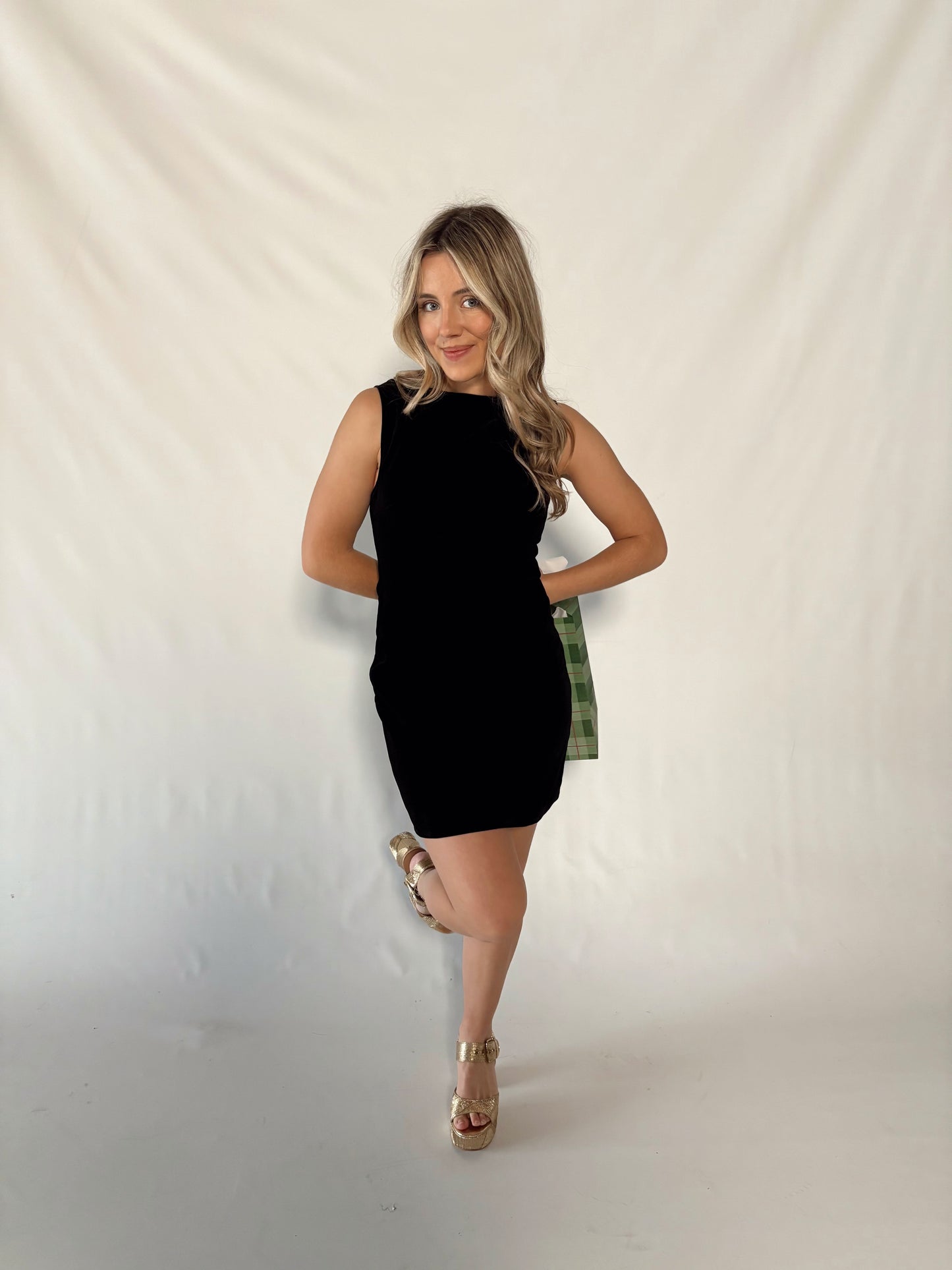 Carmine Mini Dress- Black Velvet