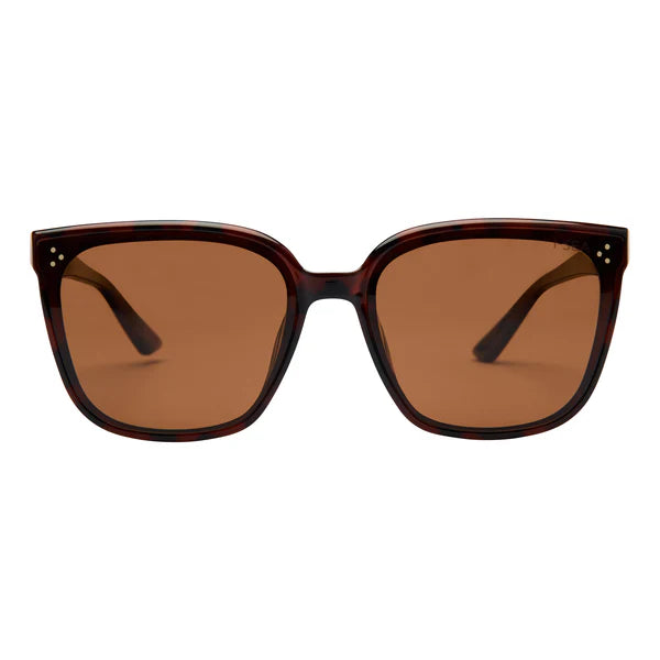 Madi Sunglasses- I-SEA
